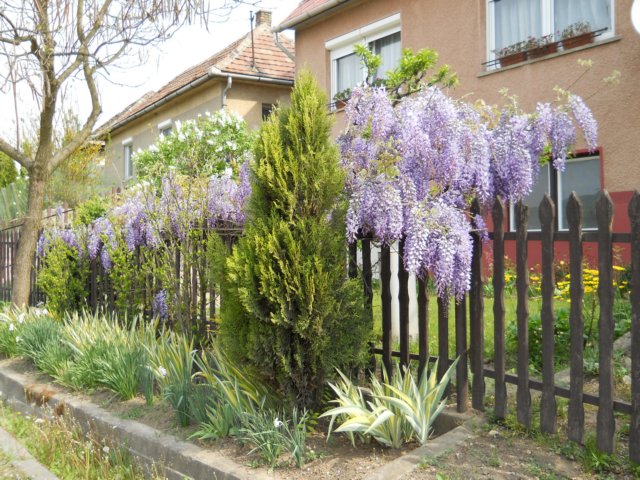 photo77.jpg
