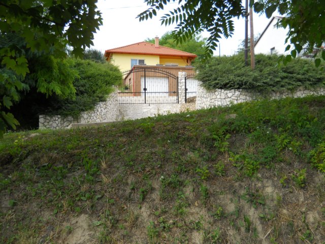 photo89.jpg