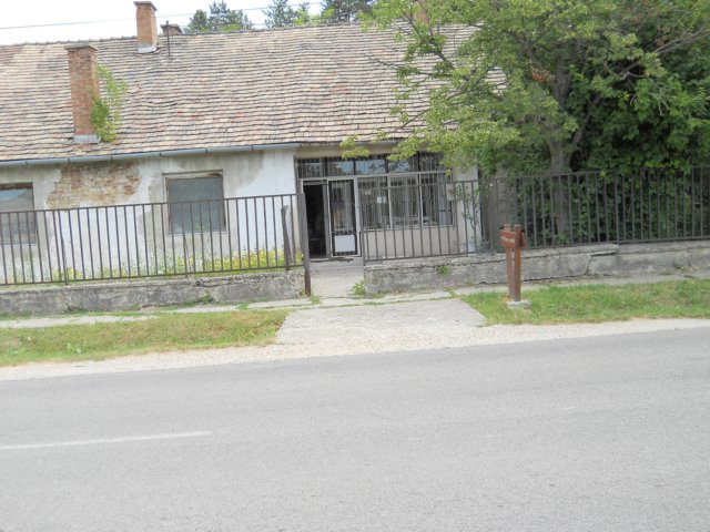 photo99.jpg