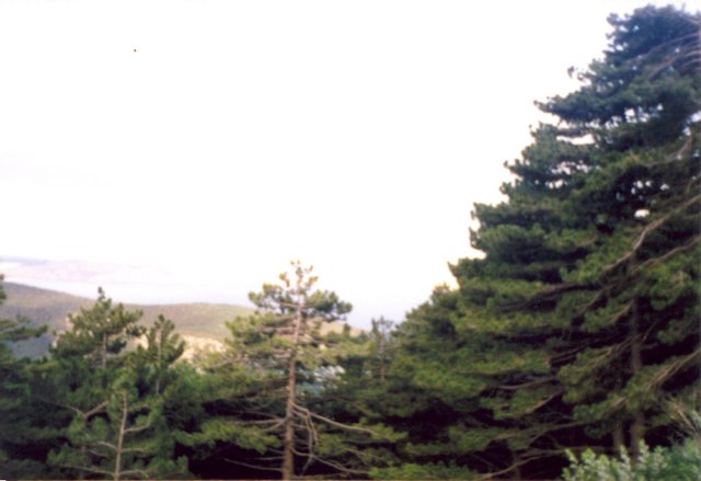 photo1.jpg