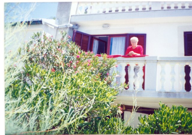 photo11.jpg