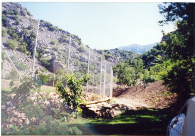 photo12.jpg