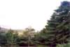 photo1_small.jpg