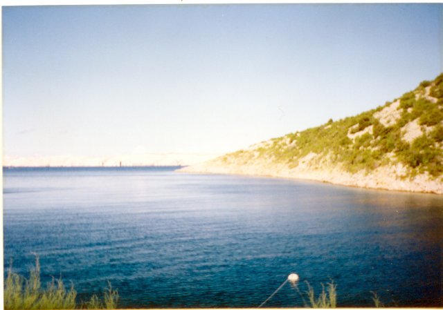 photo2.jpg