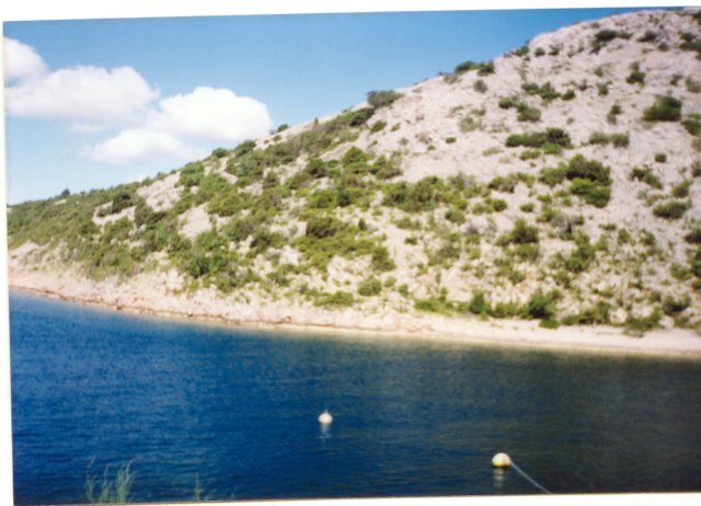 photo20.jpg