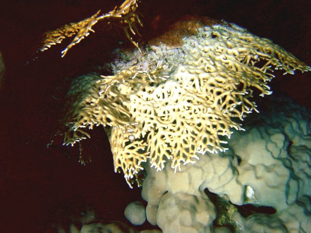 photo33.jpg
