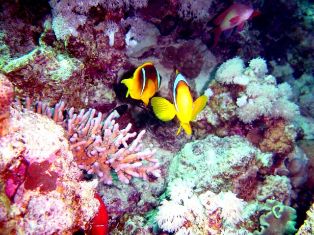 photo39.jpg