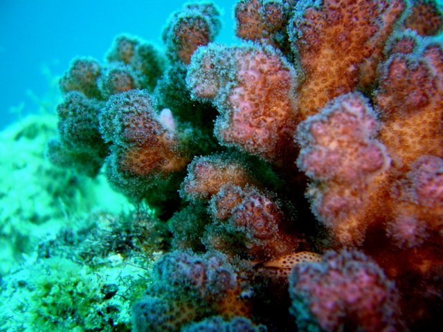 photo47.jpg