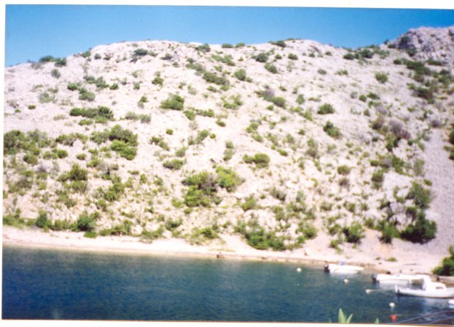 photo5.jpg