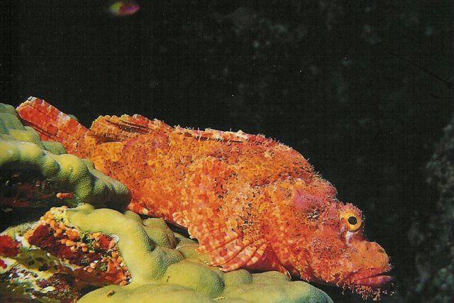 photo61.jpg