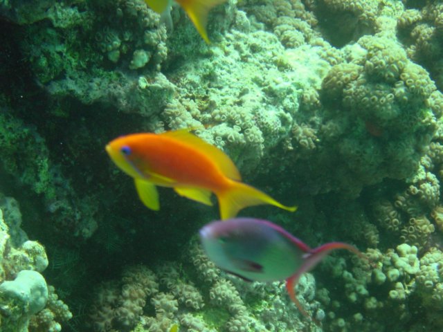 photo67.jpg
