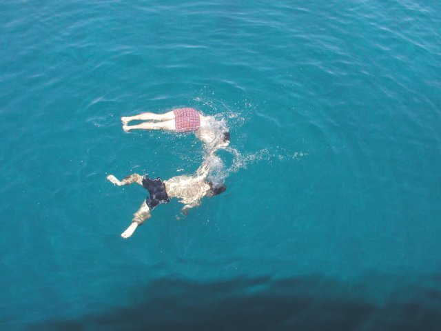 photo172.jpg