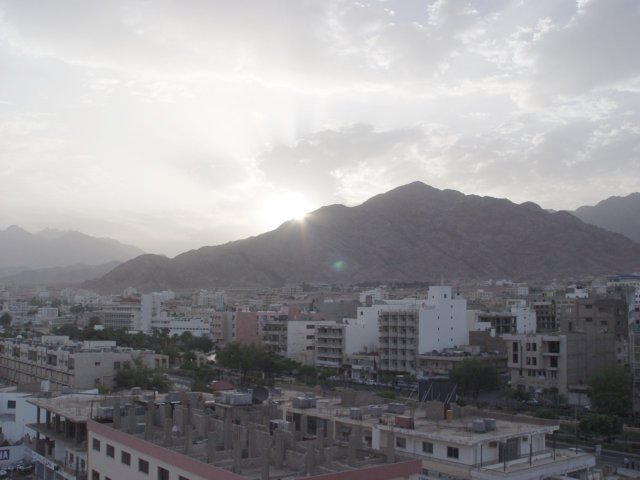 photo8.jpg