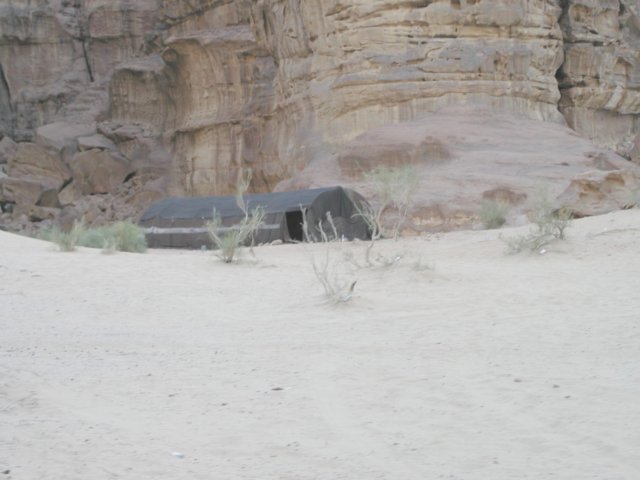 photo88.jpg