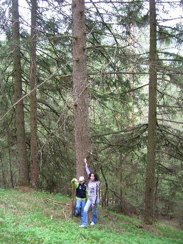photo1.jpg