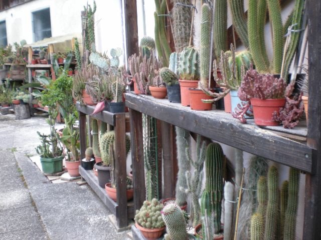 photo103.jpg