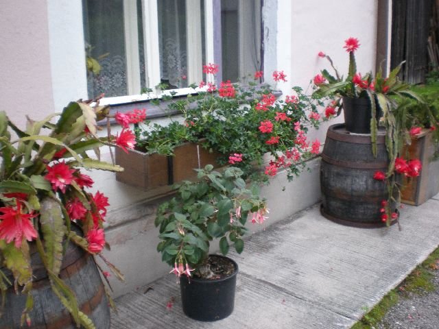 photo107.jpg