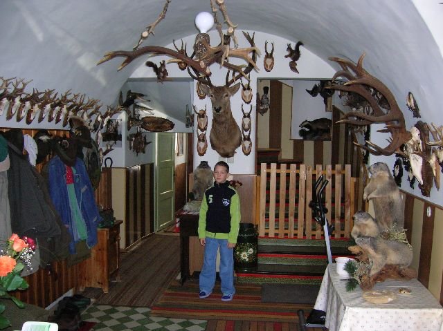 photo11.jpg
