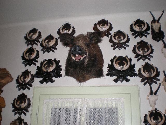 photo112.jpg