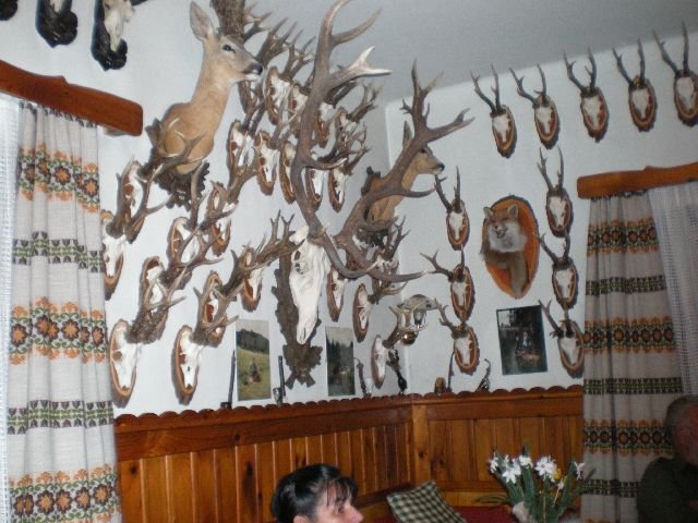 photo114.jpg