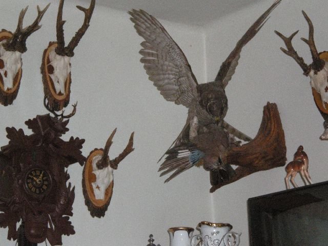 photo121.jpg