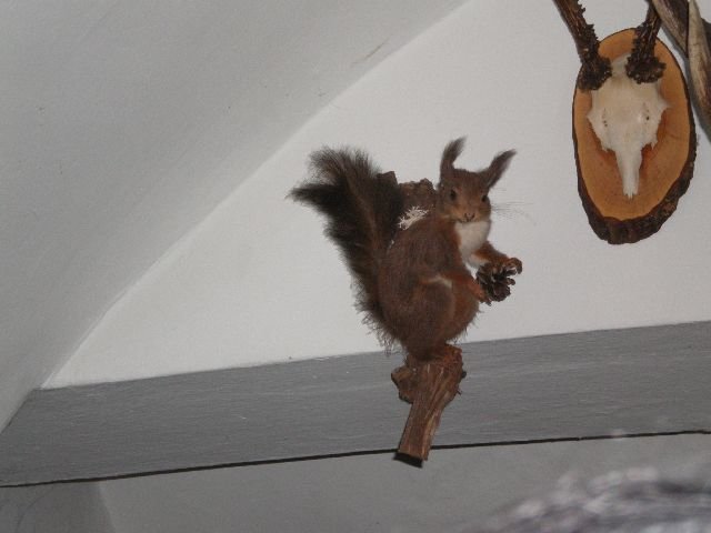 photo131.jpg