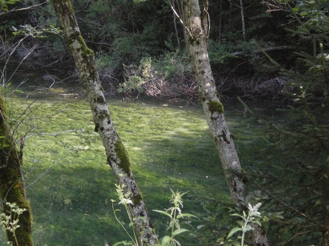 photo141.jpg