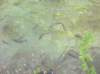 photo26_small.jpg