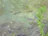 photo27_small.jpg