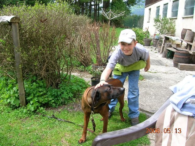 photo33.jpg