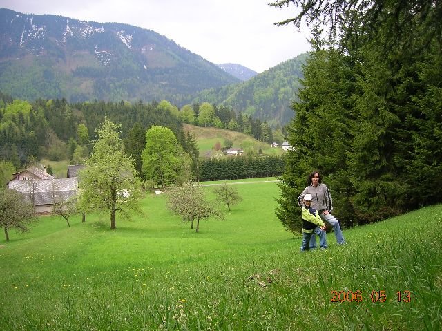 photo52.jpg