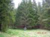 photo53_small.jpg