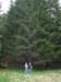photo55_small.jpg