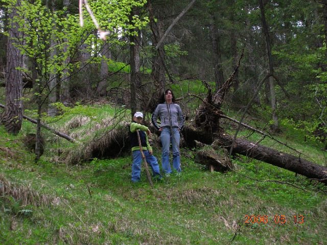 photo57.jpg