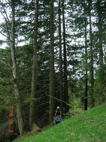 photo58.jpg