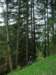 photo58_small.jpg
