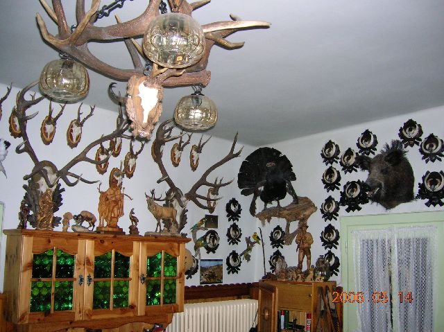 photo61.jpg
