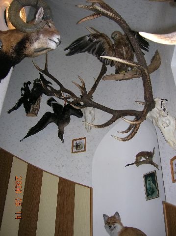 photo71.jpg