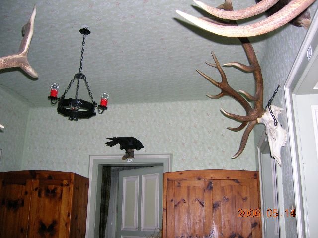 photo72.jpg