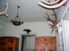 photo72_small.jpg