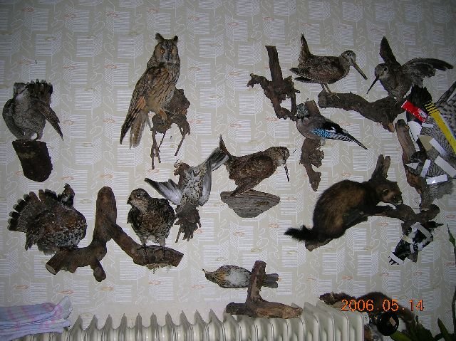 photo73.jpg