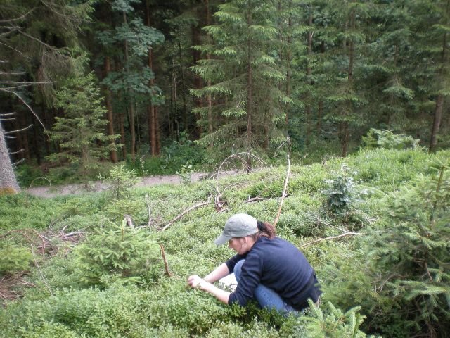 photo78.jpg
