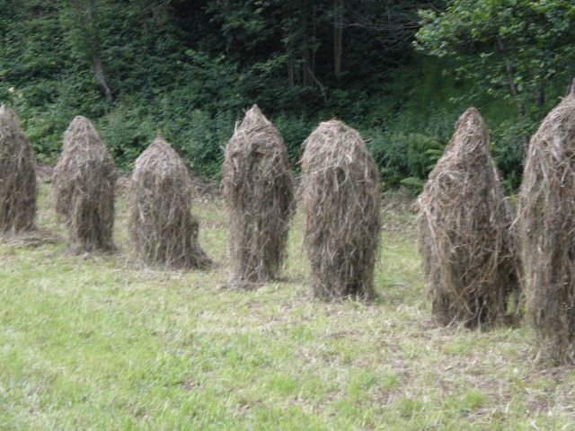 photo83.jpg