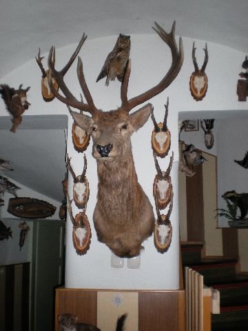 photo92.jpg