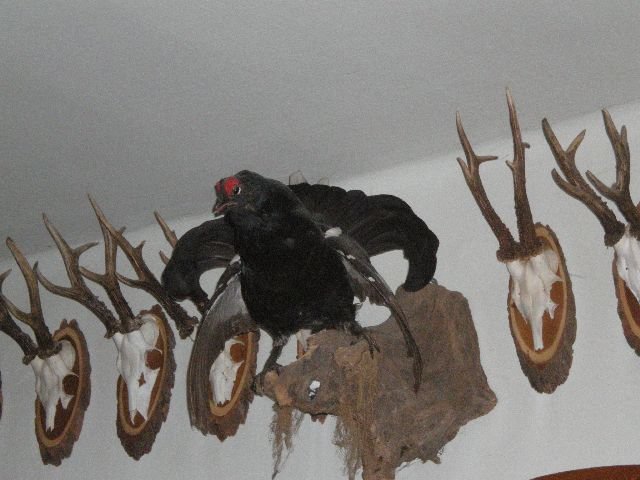 photo99.jpg