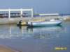 photo161_small.jpg