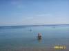 photo162_small.jpg