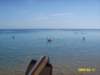 photo163_small.jpg