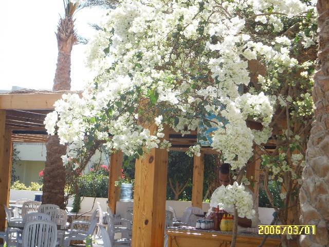 photo169.jpg