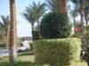photo170_small.jpg